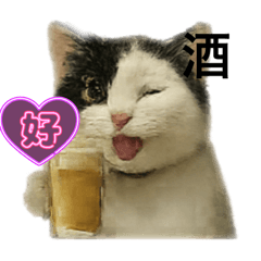 ASUKA_20251124152329