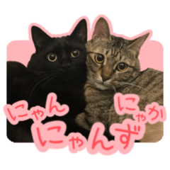 SAKURAMOCHi_20251124153544