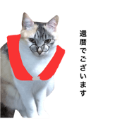 The correct honorific word