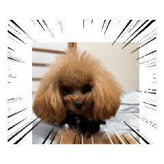 VIVI_20251124191221