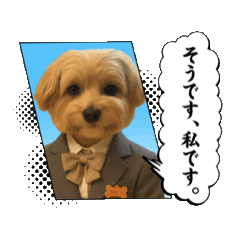 Yuka_20251124203757