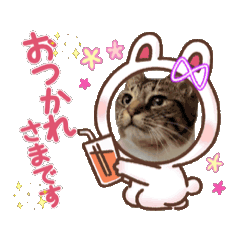 Kinako_20251124192029