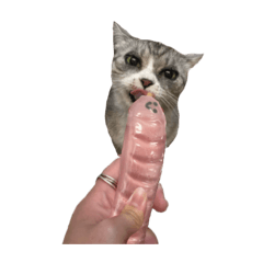 灰老大