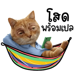 Working Modern People 1