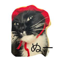 my cuteeeeee KUTSUSHITA