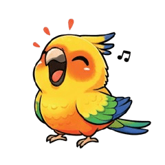 นกแก้วซันคอนัวร์ ( Parrot )