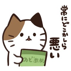 常にどこかしら悪いねこ