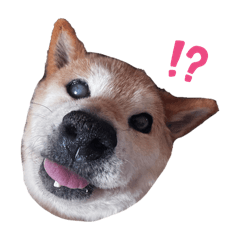 maaaa_20251124174559