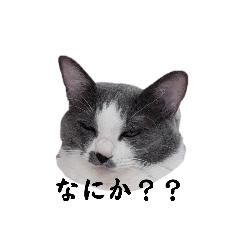 you_20251124174422