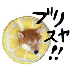 mugitowata