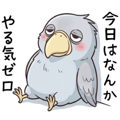 The shoebill is always unmotivated
