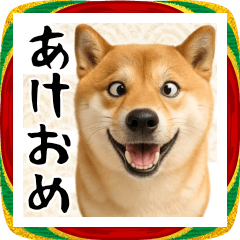 柴犬の年末年始 あけおめスタンプ