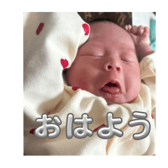 renapapa_20251124142911