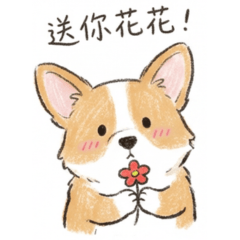 Corgi Sanwan: Little Paw Life Stickers