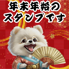 Cute Pomeranian BIG New Year Holiday