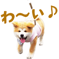 Hayashi  family Sticker