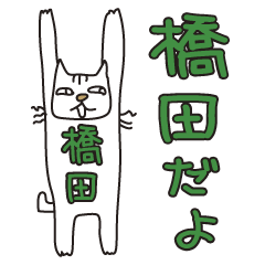 Only for Mr. Hashida Banzai Cat