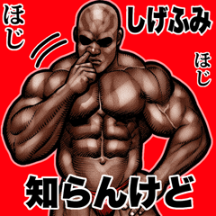 Shigehumi dedicated Muscle macho Big 2