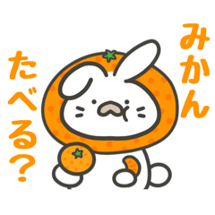 taremimichan in winter