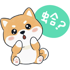 可愛柴柴✩蛤?你說什麼我不懂欸