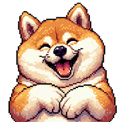 優しい気遣い太っちょ柴犬