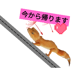 chikuwa_20251124190206