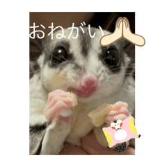 omochi_20251124194720