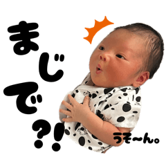 Natsu_20251124202103