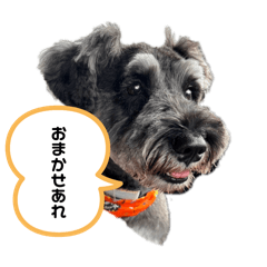 ayumi_20251124220853