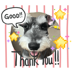 ayumi_20251124173831