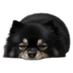 Mochi_20251124220608