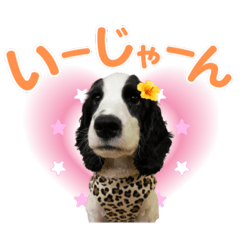 chamrunrun_20251124225244