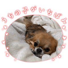 ITO AI_20251125131609