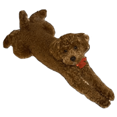 misaki_20251125001713