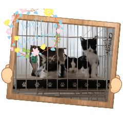 yuzuki_20251125070036