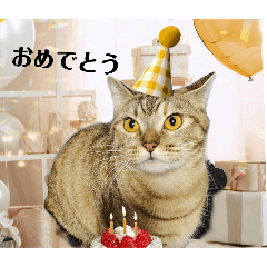 Michan_20251125070913