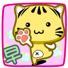 可愛條紋小貓貓!!!CAT162