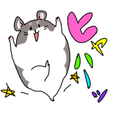 The hamsters are full of energy!