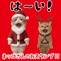 Easy-to-use cat sticker11.