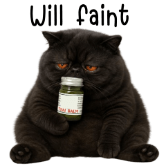 Chubby black cat mischievous face (EN)