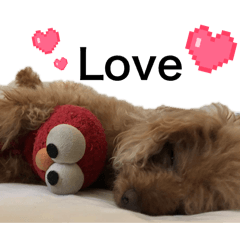 Hikari_20251125143822