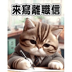 職業倦怠喵喵 - 動起來