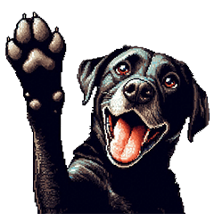 ไม่มีคำว่า ลาบราดอร์ รีทรีฟเวอร์ สีดำ