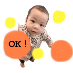 flower_20251125145153