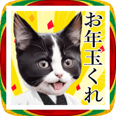 和服を着たねこのお正月2026【BIG】