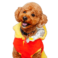 フウタちゃんの可愛いスタンプです！