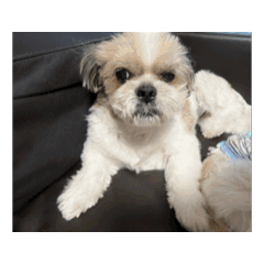 Daichi_20251125191322