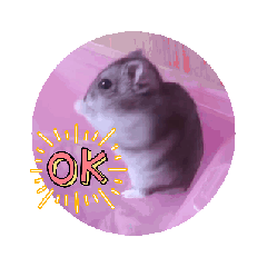 omochi_20251125223958