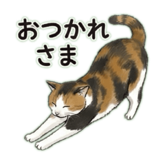 Yukari_20251125164957