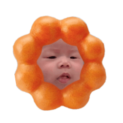 金咪的一天之二